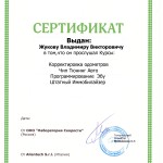Жуков 4